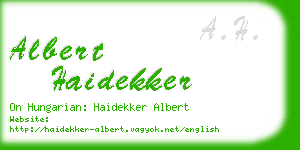albert haidekker business card